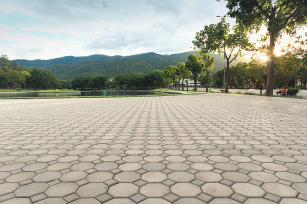Best Driveway Pavers Near Me  in Plant City, FL
